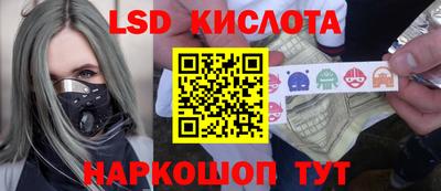 шишки Абакан