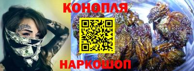 шишки Абакан