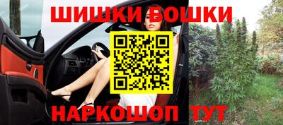 шишки Абакан