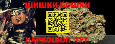 шишки Абакан