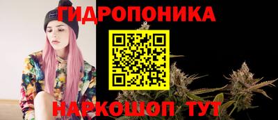 шишки Абакан