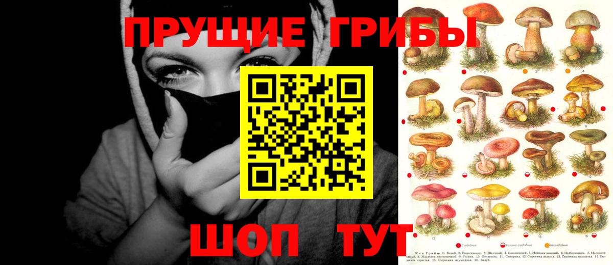 Псилоцибиновые грибы GOLDEN TEACHER Алексеевка